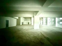 Woodlands Spectrum (D25), Factory #462638001